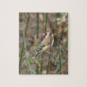 Puzzle Goldfinch