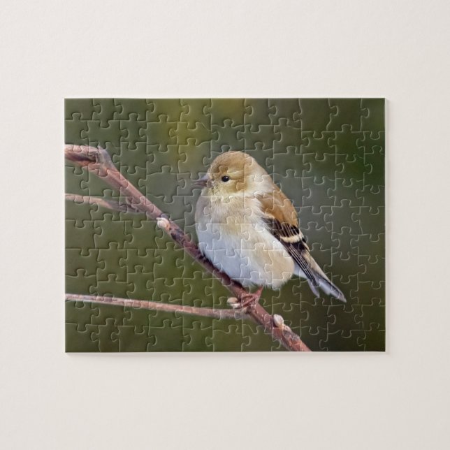 Puzzle Goldfinch americano (Horizontal)
