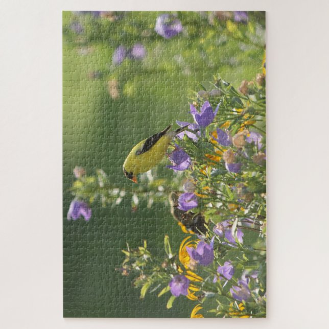 Puzzle Goldfinch en una flor harebell (Vertical)