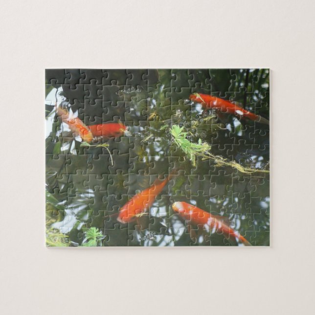 Puzzle Goldfish (Horizontal)
