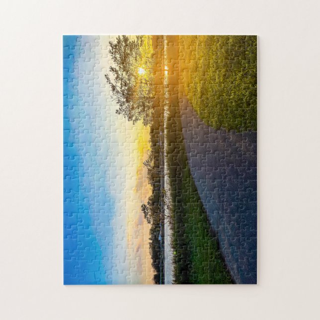 Puzzle Golpe de oro en Charles Park (Vertical)