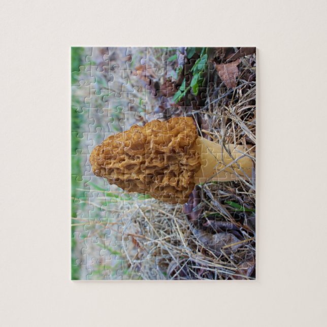 Puzzle Goma MOREL MUSHROOM (Vertical)