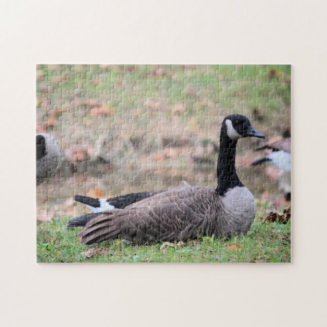 Puzzle Goose (Horizontal)