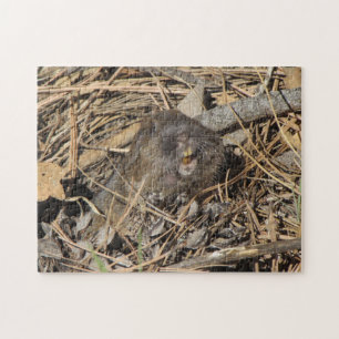Puzzle Gopher de bolsillo
