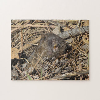Puzzle Gopher de bolsillo