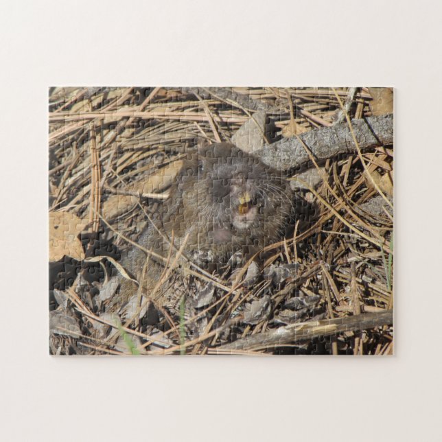 Puzzle Gopher de bolsillo (Horizontal)