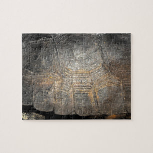 Puzzle Gopher Tortoise Shell