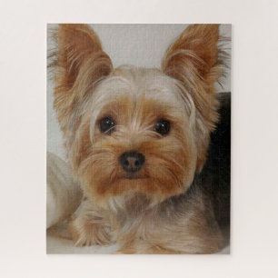 Puzzle Gorgeous Yorkshire Terrier
