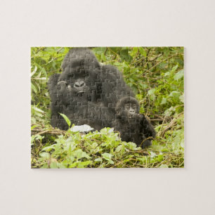 Puzzle Gorila de montaña, Gorilla beringei (anteriormente