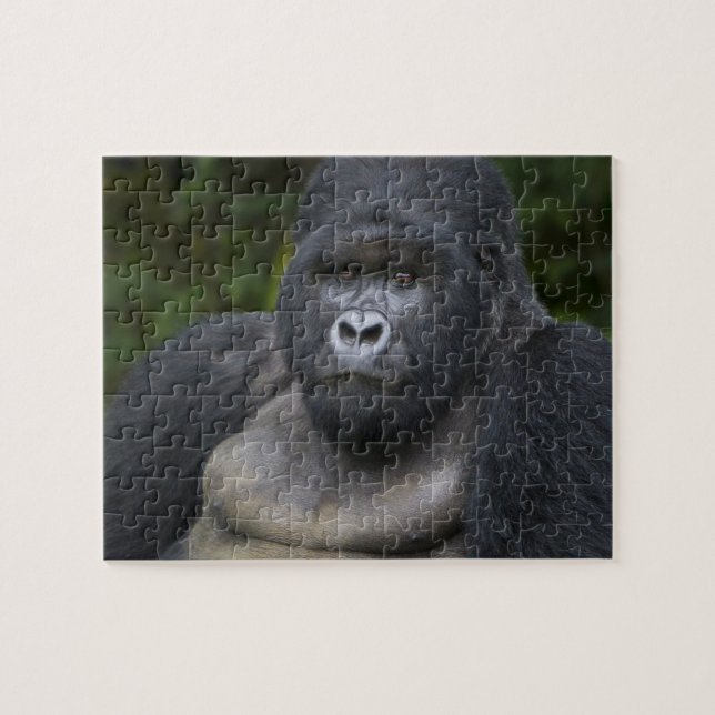 Puzzle Gorila de montaña y silverback (Horizontal)