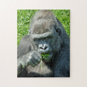 PUZZLE GORILAS