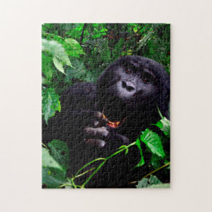 Puzzle Gorilla africana