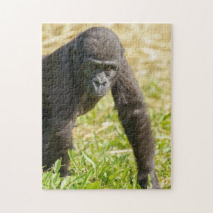 Puzzle Gorilla de bebé