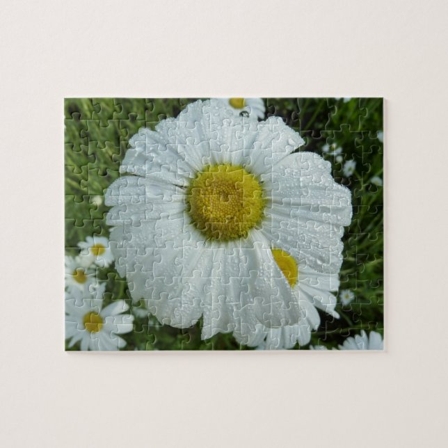 Puzzle Gotas de lluvia en Daisy I Floral (Horizontal)
