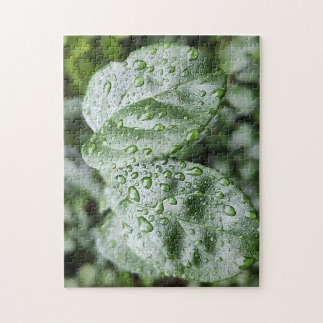 Puzzle Gotas de lluvia en hojas verdes oscuras (Vertical)