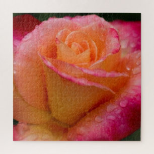 Puzzle Gotas de lluvia en Rosas fuertes 20x20