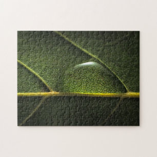 Puzzle Gotitas de la hoja