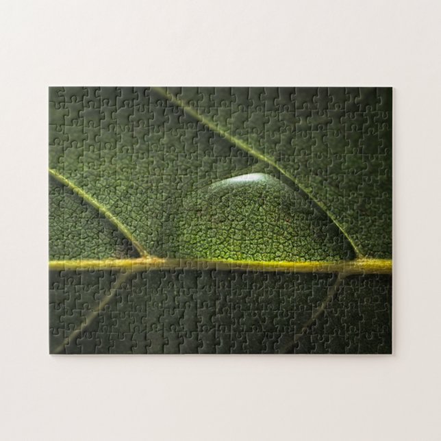 Puzzle Gotitas de la hoja (Horizontal)