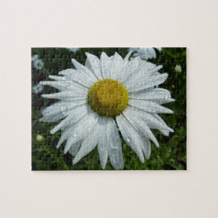 Puzzle Gotitas de lluvia en Flor Silvestre Margarita II F