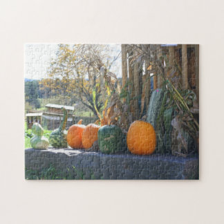 Puzzle Gourds And Pumpkins Farm Stand Autumn