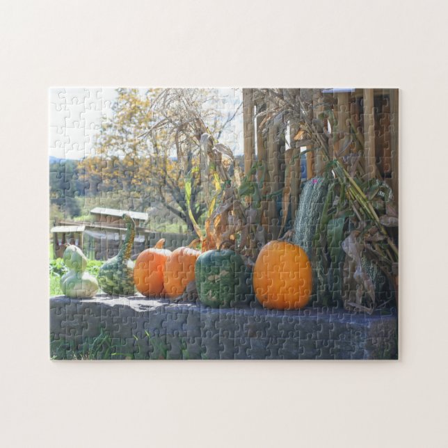 Puzzle Gourds And Pumpkins Farm Stand Autumn  (Horizontal)