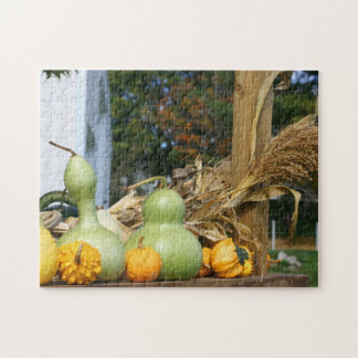 Puzzle Gourds Corn Stalks Farm Stand Otoño
