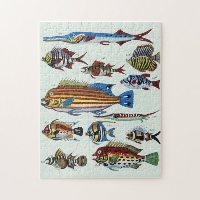 Puzzle Grabado Antiguo de Historia Natural de Peces Exóti (Vertical)
