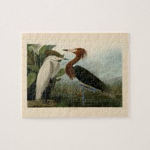 Puzzle Grabado de Garza Morada de Audubon: Arte de Aves