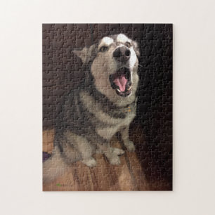 Puzzle Graciosa foto de Yawning Alaskan Malamute