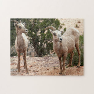Puzzle Graciosa oveja bighorn en el Parque Nacional de Zi