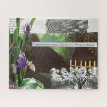 Graciosa sátira sobre el cambio climático del Chis