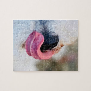 Puzzle Gracioso adorno de perro lengua blanca rompecabeza