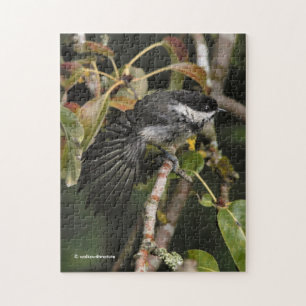 Puzzle Gracioso pollo de punta negra con estiramiento