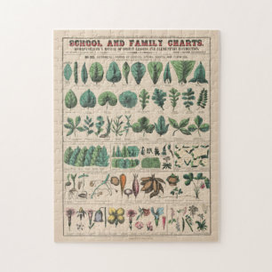 Puzzle Gráfico Antiguo de la Escuela Botánica Naturaleza