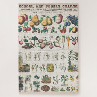 Puzzle Gráfico de Educación Botánica Escolar Vintage 1890