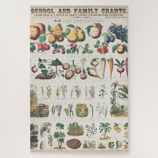 Puzzle Gráfico de Educación Botánica Escolar Vintage 1890 (Vertical)