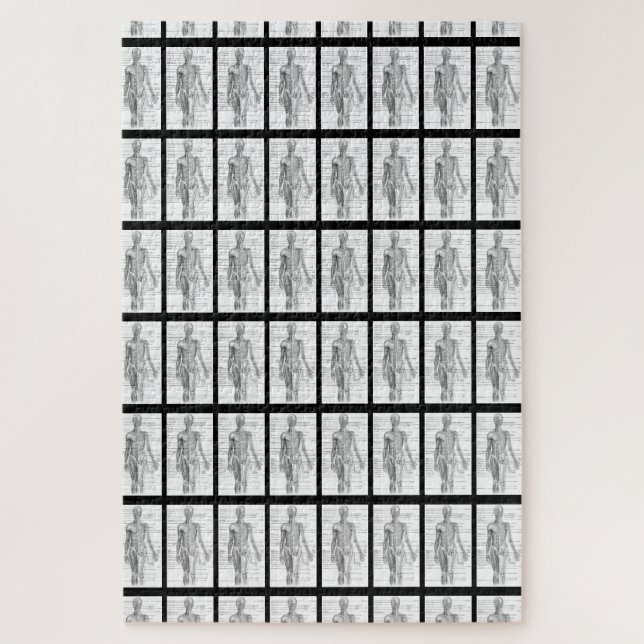 Puzzle Gráficos médicos de anatomía humana (Vertical)