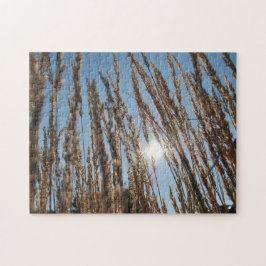 Puzzle Grain Corn Field Harvest Sun Beautiful Farm Photo