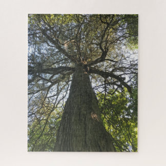 Puzzle Gran árbol hermoso