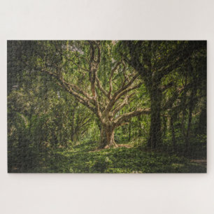 Puzzle Gran árbol viejo en el bosque