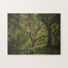 Puzzle Gran árbol viejo en el bosque