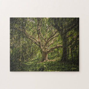 Puzzle Gran árbol viejo en el bosque