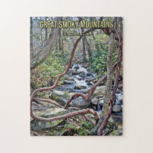 Gran Arroyo de Parque Nacional de Montañas Smoky