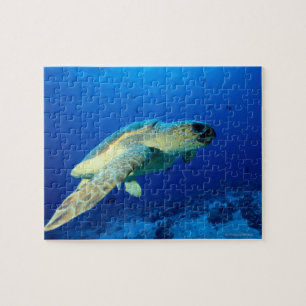 Puzzle Gran barrera de arrecife, Australia 2