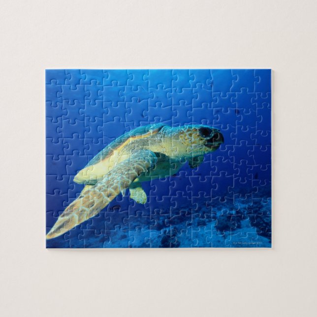 Puzzle Gran barrera de arrecife, Australia 2 (Horizontal)