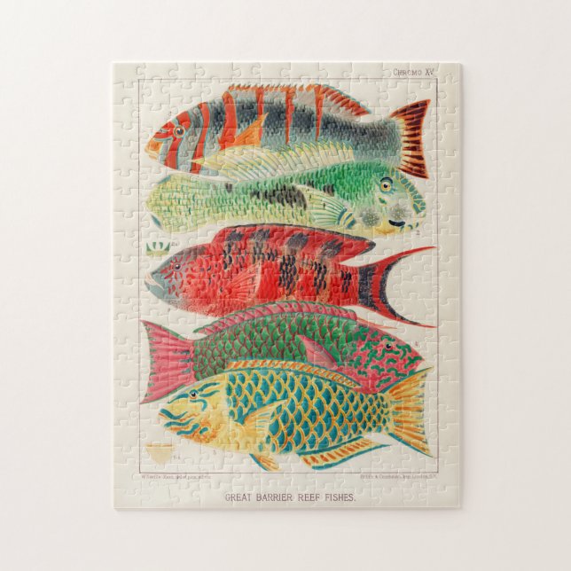 Puzzle Gran barrera de arrecife de Australia (Vertical)