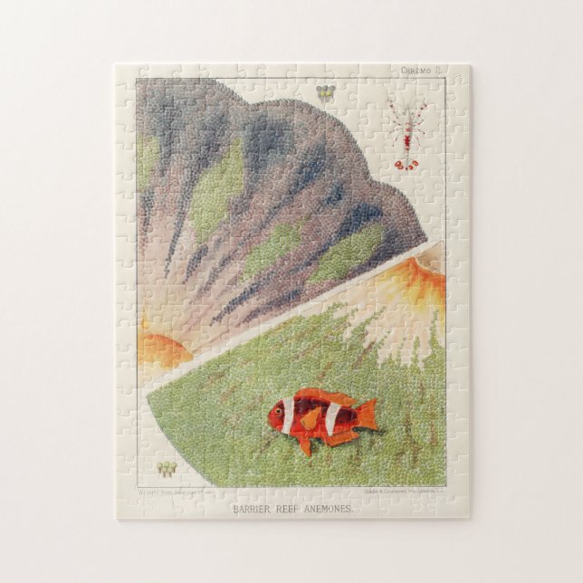 Puzzle Gran barrera de arrecife de Australia de Anémonas (Vertical)