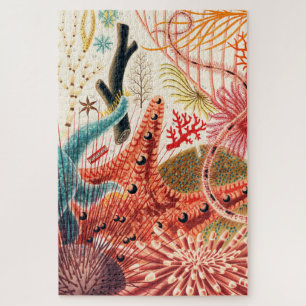 Puzzle Gran Barrera de Arrecifes Echinoderms Criaturas de