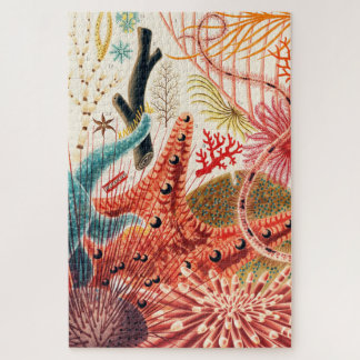 Puzzle Gran Barrera de Arrecifes Echinoderms Criaturas de