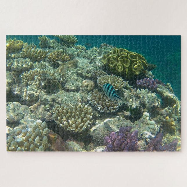 Puzzle gran barrera de coral (Horizontal)